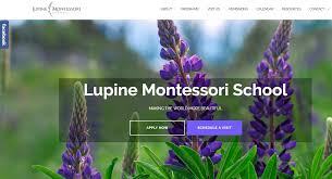 Maybe you would like to learn more about one of these? The Top 16 Must Haves For Every Montessori School Website Nido Marketing