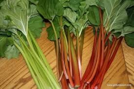 Its high content of oxalic acidmay be dangerous, although this is not the main toxic component, since it is only found in concentrations of 0.5% in rhubarb leaves. Are You Rhubarb Savvy Home Family
