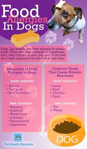 Novel Protein Limited Ingredient And Balanced Homemade Diets Are A Fantastic Solution To Food Allergies In Pet Dog Allergies Dog Health Tips Dog Food Recipes