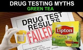 The storage container for the urine should be airtight. Common Myths About Urine Drug Testing