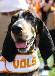 Smokey mascot on wn network delivers the latest videos and editable pages for news & events, including entertainment, music, sports, science and more, sign up and share your playlists. Smokey X Cheer Dance Mascots University Of Tennessee Athletics