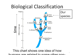 Biological Classification 1 This Chart Shows One Idea Of How