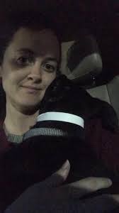 Our lovely boy Finn, Dalstorm Incan Legacy N/N Tyrodal Man