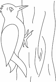 Woodpecker Coloring Pages Preschool And Kindergarten Animal Coloring Pages Preschool Coloring Pages Bird Coloring Pages