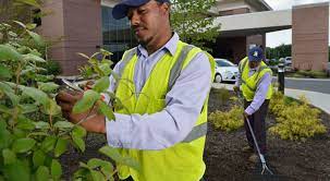 Add them now to this category in lexington, sc or browse best lawn care & maintenance for more cities. Commercial Landscaping Services In Lexington Sc U S Lawns