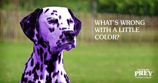 No, all dogs do not eat the same food. Food Coloring In Pet Food Is It Safe Should You Worry