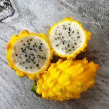 Lernen sie die drachenfrucht kennen. Drachenfrucht Gelb Samen Bestellen Chili Shop24 De