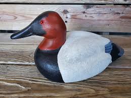 Inner coast: Lake Mattamuskeet draws outdoor enthusiasts