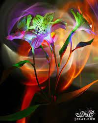 خلفيات ورد hd للتصميم2017 صور ورد للفوتوشوب 2019 خلفيات ورد للربيع2017 cross paintings fractal art embroidery flowers