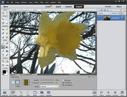 Let's run through a very quick, very dirty paint bucket tool. Blog 9 17 2015 Thepaintbuckettoolinphotoshopelements Teachucomp Inc