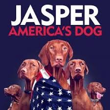 In Case Not Here Are More Profile Options Most Beautiful Dog Breeds Beautiful Dogs Vizsla