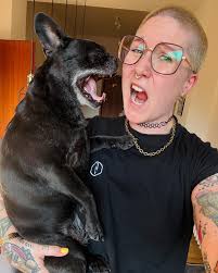 liebefuerdasaffenkind 💛 . #emmie #ömmie #meinmädchen #sheriff  #frenchbulldog #frenchie #frenchiesociety #frenchiesofinstagram #bully  #bulldog #französischebulldogge #dogstagram #instadog #instagram #insta  #brille #glasses #brillenschlange #ink #inked ...