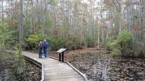 12 Incredible Hikes In South Carolina That Anyone Can Do South Carolina Vacation Charleston Travel State Parks