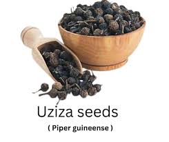 Image result for Piper guineense