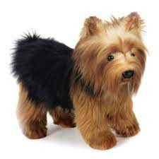 Hansa Stuffed Animals And Plush Yorkshire Terrier Puppies Yorkshire Terrier Yorkshire Terrier Dog