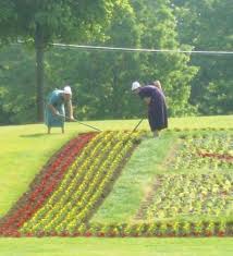 Even old order the most noticeable difference between the amish and mennonites is that mennonites g. Amish Lifestyle Requires Very Little Expense By Tammy Sons Owner Of Tennessee Wholesale Nursery Thrive Global Medium
