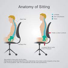 What Is The Correct Ergonomic Sitting Posture In The Office
