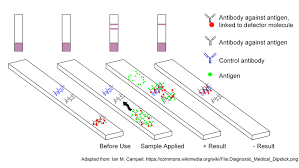 We did not find results for: Covid 19 Testing Faqs