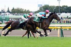 Ria Antonia Foal Ria Amelia To Race In Japan Grade 1