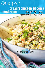 One Pot Creamy Chicken Bacon And Mushroom Orzo Recipe Easy Chicken Recipes Easy Pasta Recipes Easy Italian Dinner