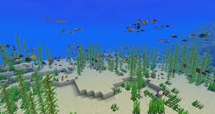 The player may collect a fish by using a water bucket on it, which gives the player a bucket of fish. The Incredible Variety Of Tropical Fish Minecraft