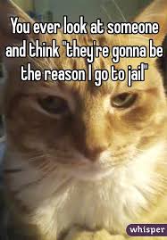 Enter their name and as much information as possible 4. You Ever Look At Someone And Think They Re Gonna Be The Reason I Go To Jail Funny Quotes Go To Jail Jail