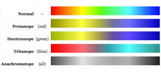 Image result for Color Blindness