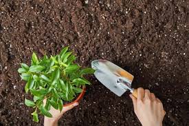 Faith no more, iron maiden, and deep purple top the 2020 lineup. Tons Of Landscaping Rock Calculator Golden Landscaping Supply