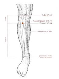 Top 12 Acupressure Points To Optimize Your Health