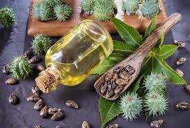 However, there is no scientific backing to these claims. 11 Castor Oil Beauty Benefits For Skin And Hair Side Effects