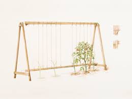 Left to their own devices, tomato plants vine along the ground. Build An A Frame Tomato Trellis Finegardening