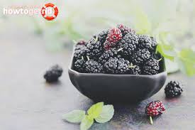 Khasiat dan manfaat buah mulberry atau murbei ( morus alba ). Mulberry Faedah Dan Kemudaratan Untuk Kesihatan Badan