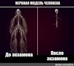 Комикс мем: "После экзамена До экзамена" - Комиксы - Meme-arsenal.com