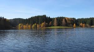 Der bis zu 69 meter tiefe see ist auch. Stausee Ottenstein Zwettler Fischerstammtisch