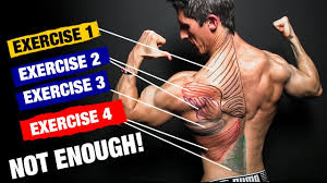 Below are the six best upper back exercises for overall back development, strength, and aesthetics. The Perfect Back Workout Sets And Reps Included Youtube