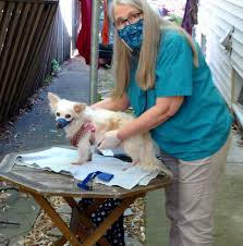 It can be found in the pet shop and costs 5. Answers Pet Food Home Facebook