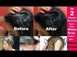 In 2 Hours Turn Grey White Hairs To Black Brown Naturally How To Apply Henna Mehendi On Hair Grey White Hair White Hair Treatment Grey Hair Treatment