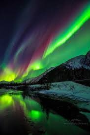 Image Result For Real Aurora Borealis Northern Lights Alaska Northern Lights Aurora Borealis Northern Lights