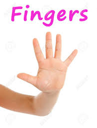 close up of a young girls hand and fingers on a white background