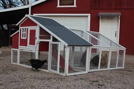 Star Haven Ii With Run Extension Largevegetablegardeningideas Portableshedplan Building A Chicken Coop Walk In Chicken Coop Chicken Coop Run