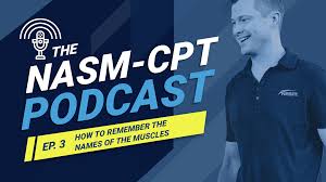 The community of anatomists (scientists) all over the world all use latin names when they are describing muscles. The Nasm Cpt Podcast How To Remember The Names Of The Muscles