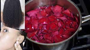 Gently massage the concoction into your scalp and hair. How To Get To Perfect Skin Moisturized Hair Homemade Rosewater Hair Growth Clear Skin Youtube