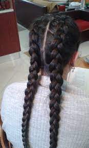 Double Dutch Braids Braids For Long Hair Long Hair Styles Model Hair Color