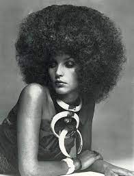 Epingle Par Katia Rapp Goldymama Sur Hair Coiffure Afro Style Afro Belle Coiffure