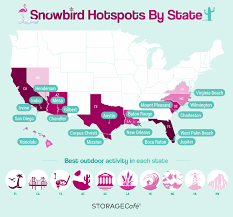 The oregon robin (merula naevia) and the oregon snowbird (junco oregonus) are common in oregon and northward. Boca Raton Florida Takes The Crown As Best 2021 Snowbird Destination