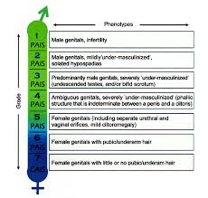 We did not find results for: Part 4 Male Gender Identity In An Individual With Complete Androgen Insensitivity Syndrome American Trans Man