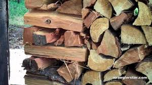 These devices use two or more electrodes to measure a wood sample's moisture content using electrical resistance. How Much Is A Cord Of Wood Near Me Guide For 2021