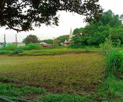 This page provides all possible translations of the word belai in the english language. Belai Bihar Home Facebook
