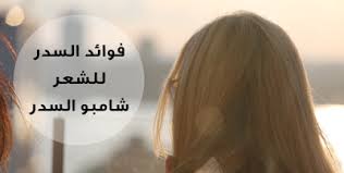 حياتي وردي فوائد السدر للشعر وطريقة عمل شامبو السدر الطبيعي Hair Styles Hair Shampoo