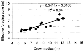 4.5 out of 5 stars 2,844 $27.83 $ 27. Effective Lateral Foraging Space Of Bamboo Roots 80 Of The Total Download Scientific Diagram